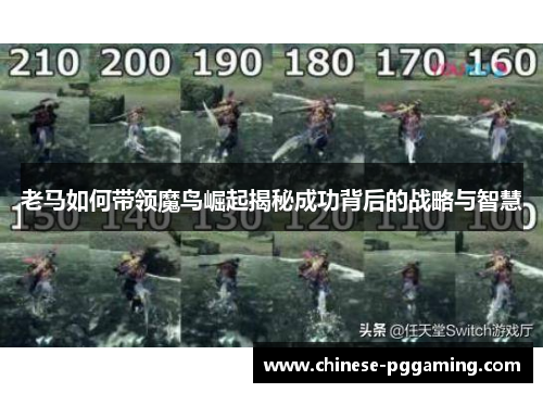老马如何带领魔鸟崛起揭秘成功背后的战略与智慧