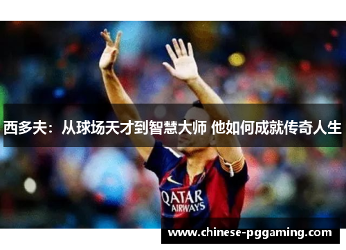 西多夫：从球场天才到智慧大师 他如何成就传奇人生