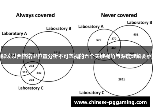 解读以西格诺里位置分析不可忽视的五个关键视角与深度理解要点