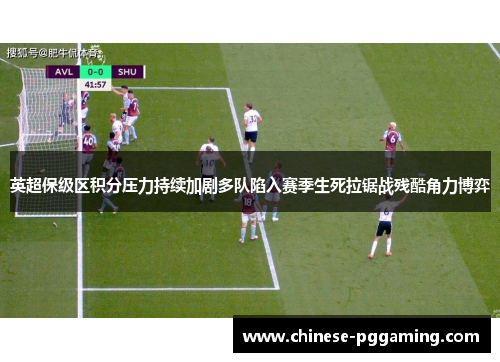 英超保级区积分压力持续加剧多队陷入赛季生死拉锯战残酷角力博弈 英超保级区积分压力持续加剧多队陷入赛季生死拉锯战残酷角力博弈