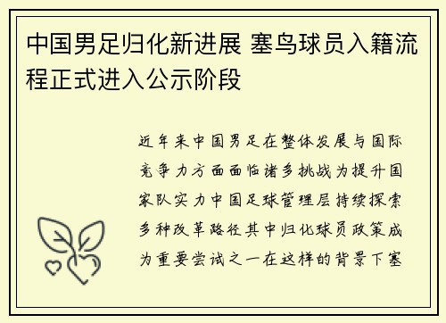 中国男足归化新进展 塞鸟球员入籍流程正式进入公示阶段