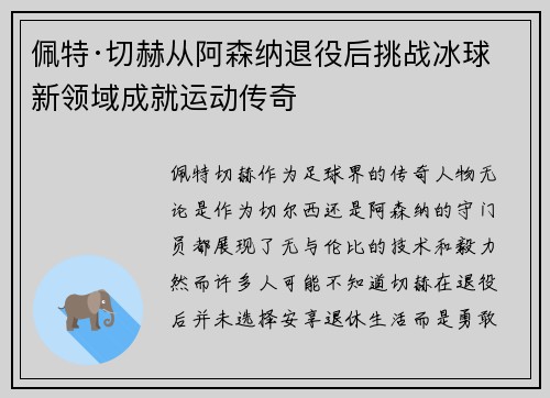 佩特·切赫从阿森纳退役后挑战冰球新领域成就运动传奇