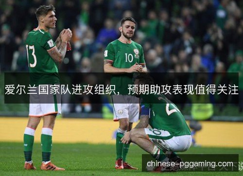 爱尔兰国家队进攻组织，预期助攻表现值得关注
